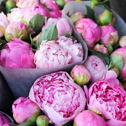 Фаиля Гизетдинова