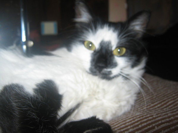 Татьяна Чуйкова