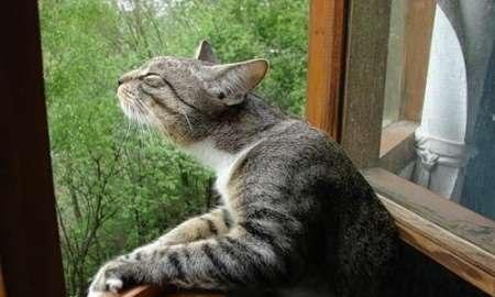 Сергей Пензев