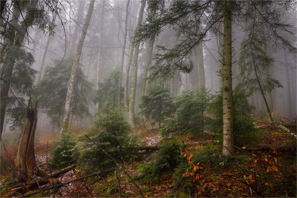 Евгений Копытин