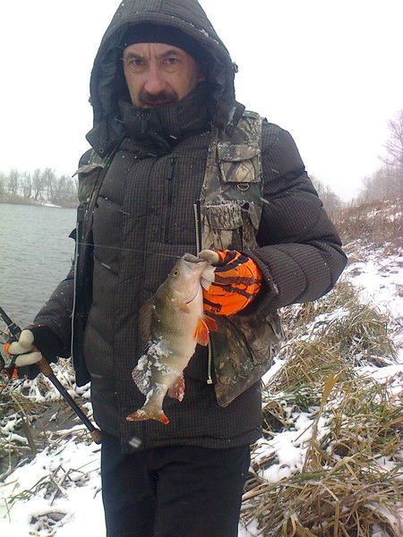 Евгений Грибов