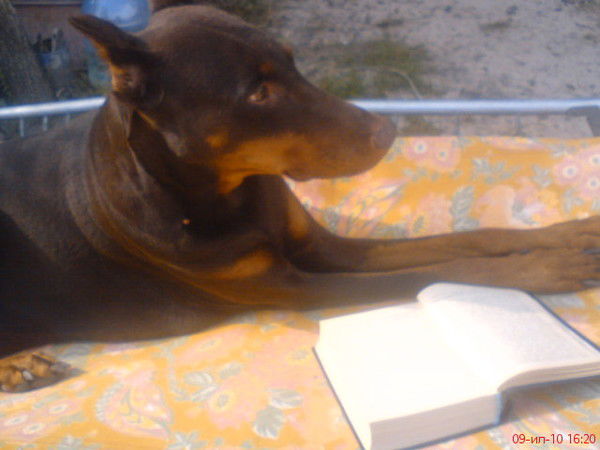 Елена Федорова