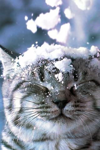 Татьяна Чубарова