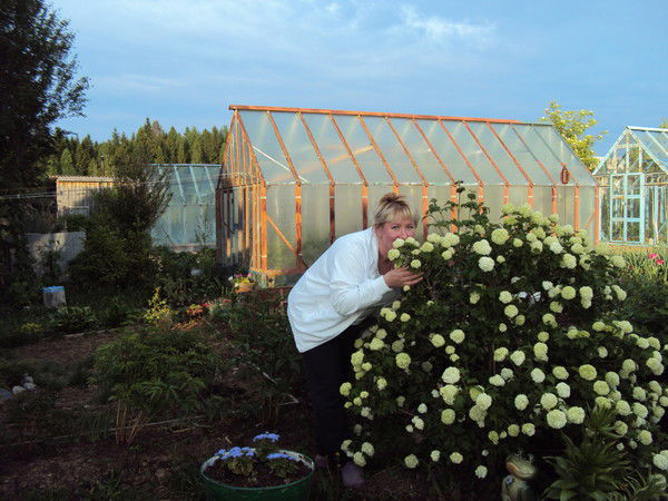 Светлана Веретенникова