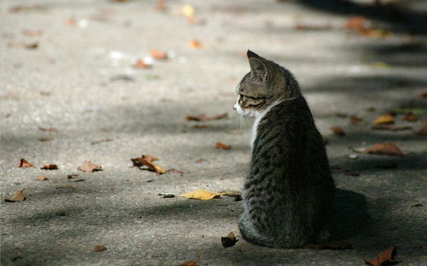 Кристинка К...