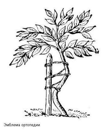 Тойлы Айытжанов