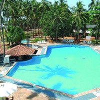 Мария Веселова