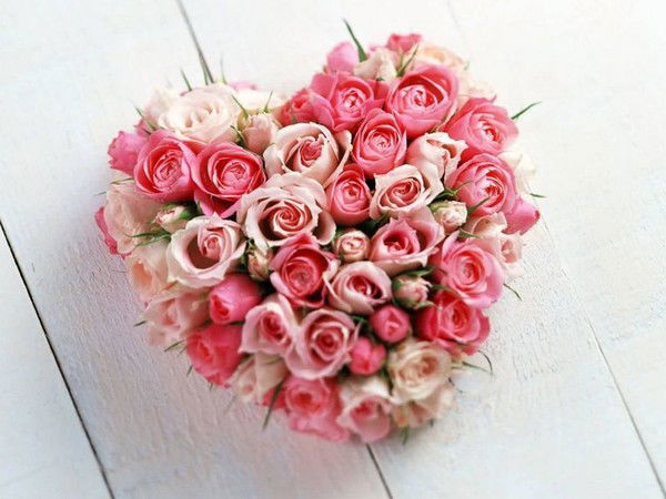 Оленька Сташевски