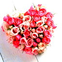 Оленька Сташевски