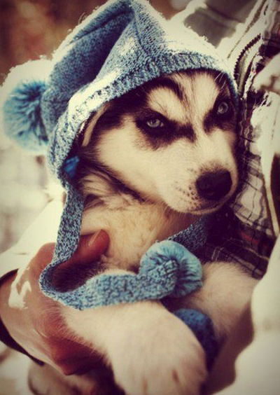 Шараф Кубутаев