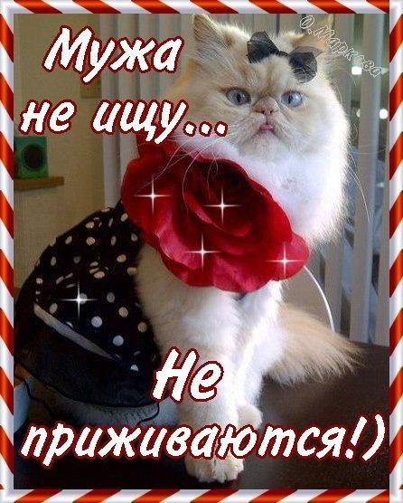 Елена Чертова