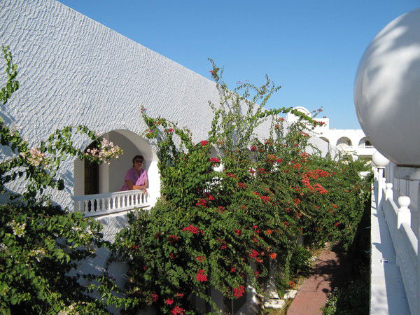 Елена Гончарова