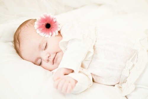 Шоколадка***** *****