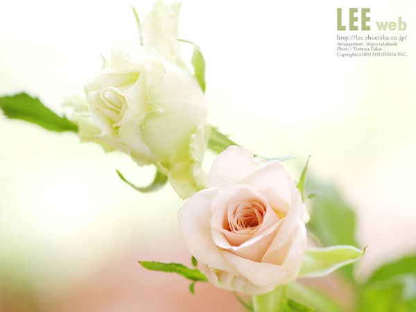 Юлия Буланова