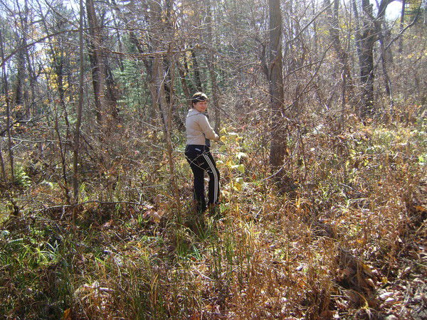 Анна Абушкина