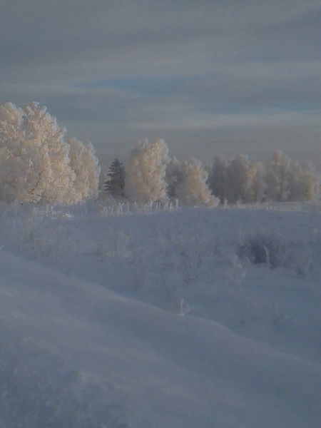 Леонид Апанасов