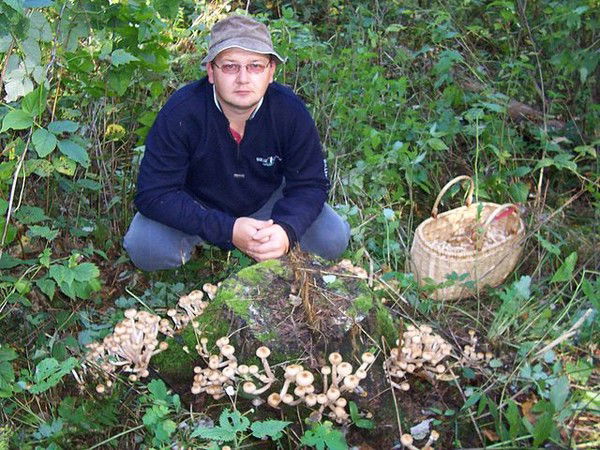 Сергей Шавшин