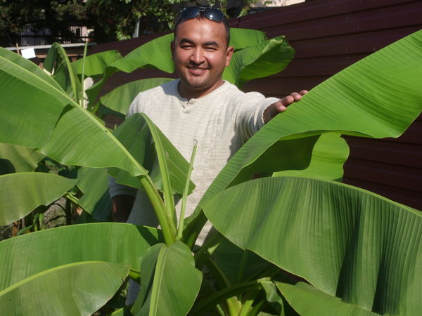 Абдукалы Шолпанов
