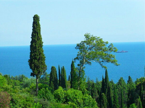 Анюта Мадреимова