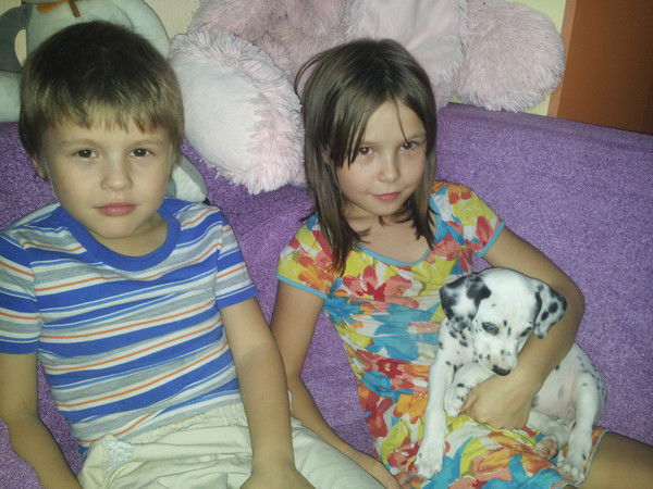 Снежана Мамзина