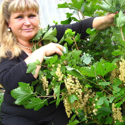 Мария Осмоловская