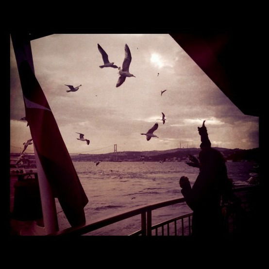 • * • N • * •