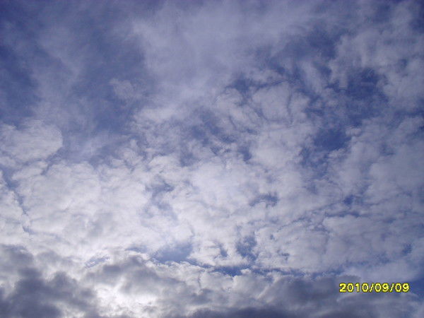 Илья Мисюченко