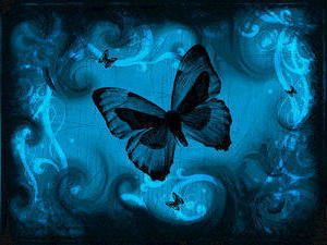 Даша Денисенко