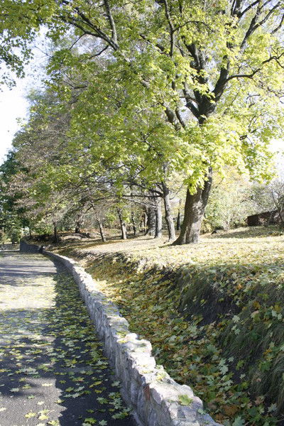 Светлана Манькова