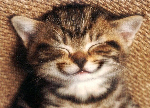 Светлана Кузина