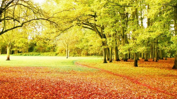 Галина Проскурякова