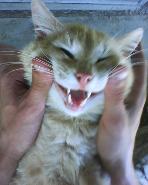 Павлуха Егоров