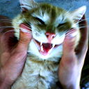 Павлуха Егоров