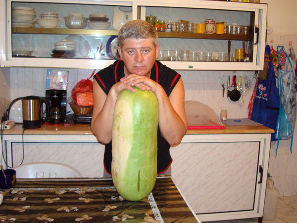 Слава Терентьев