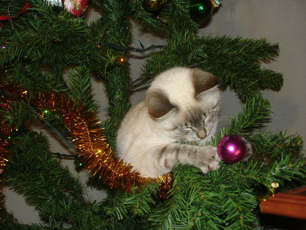 Гузель Галиева