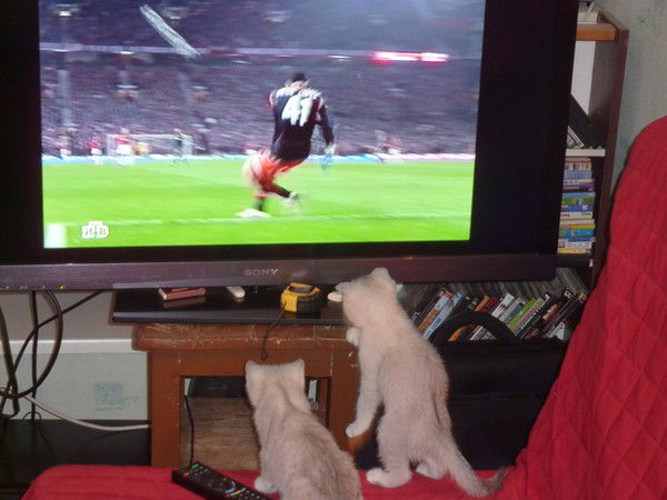 Влад Сыроватский