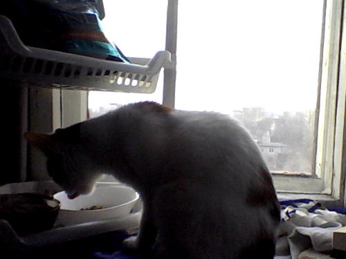 Саша Иришкина