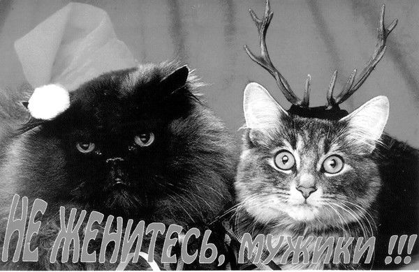 Алексей Леонидович