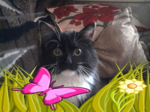 Анна Гориславец