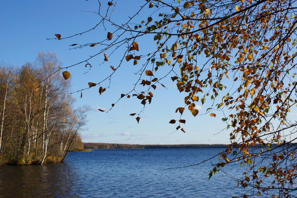 Надежда Чередниченко