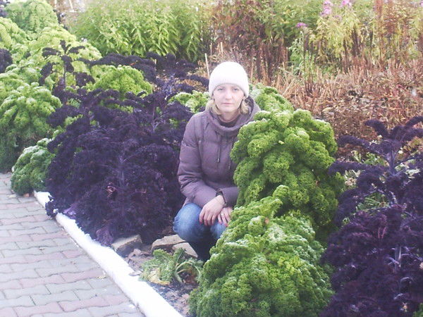 Елена Кузьмина