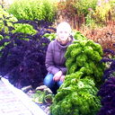 Елена Кузьмина