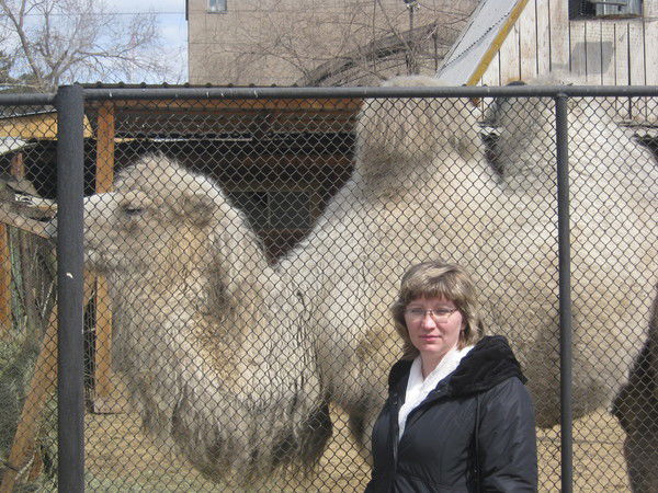 Светлана Банщикова