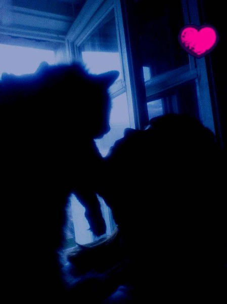 Александра Агапеева