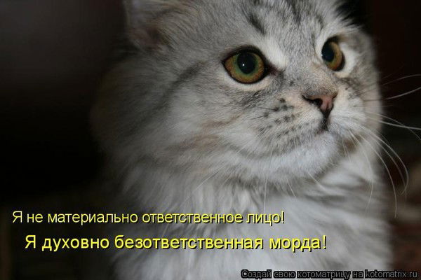 Ирина Махнутина