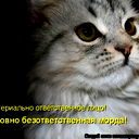 Ирина Махнутина