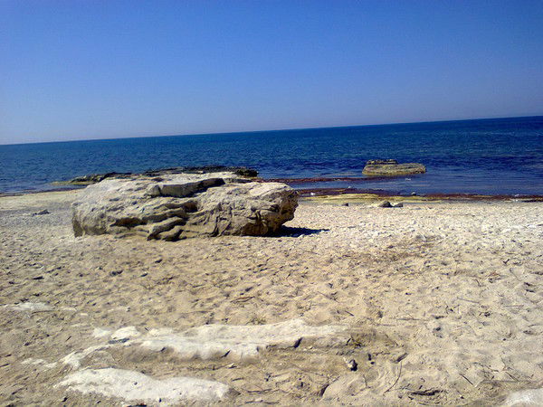 Гульнур Тулегенова