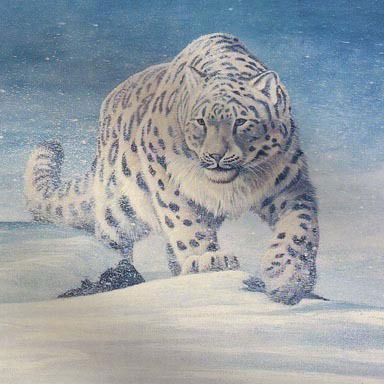 Алексей Козлов