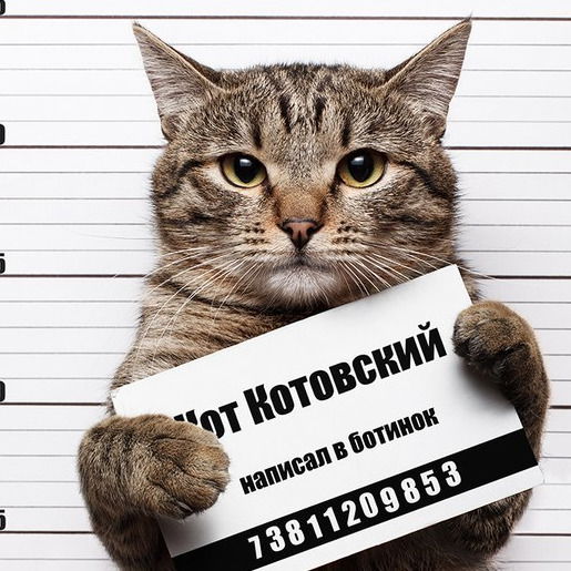 Яхонтовый Я