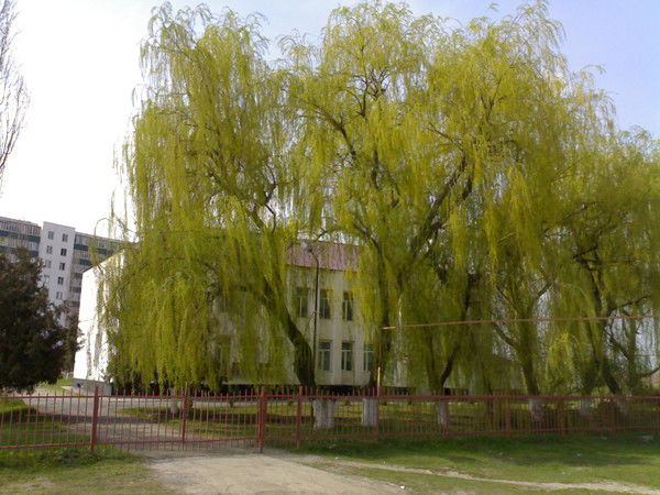 Гуп Аргунский Пждт Мугаев